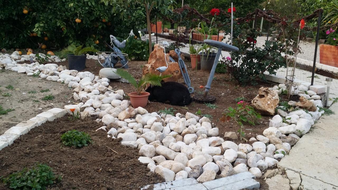 Asbn Magic Garden Villa Akko Bagian luar foto