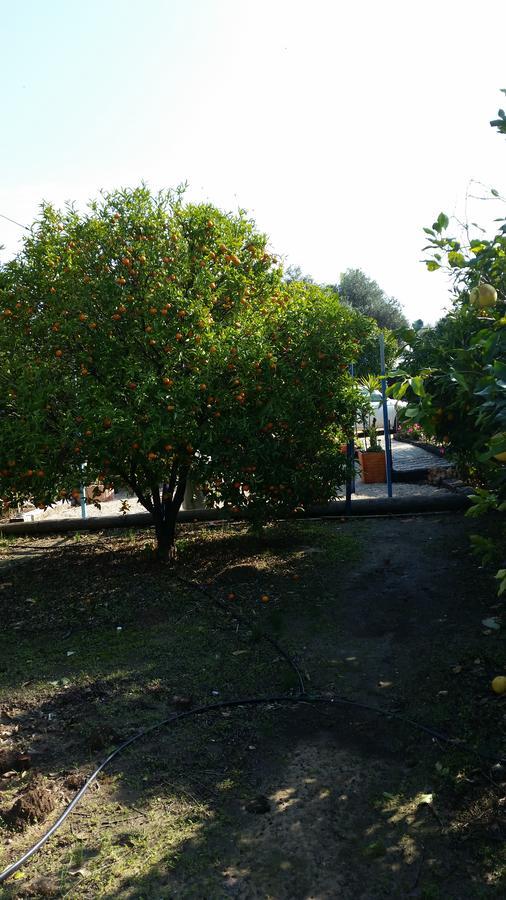 Asbn Magic Garden Villa Akko Bagian luar foto