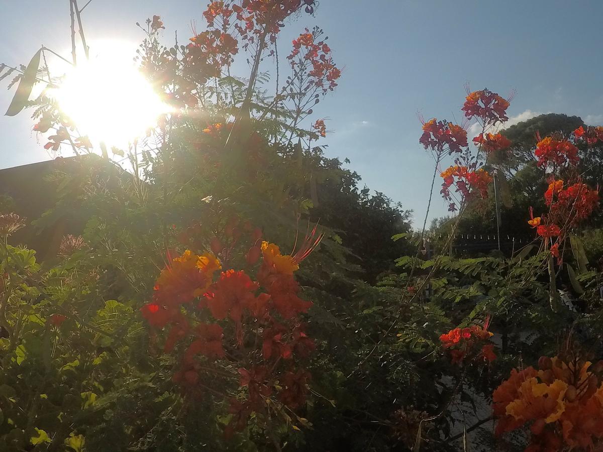 Asbn Magic Garden Villa Akko Bagian luar foto