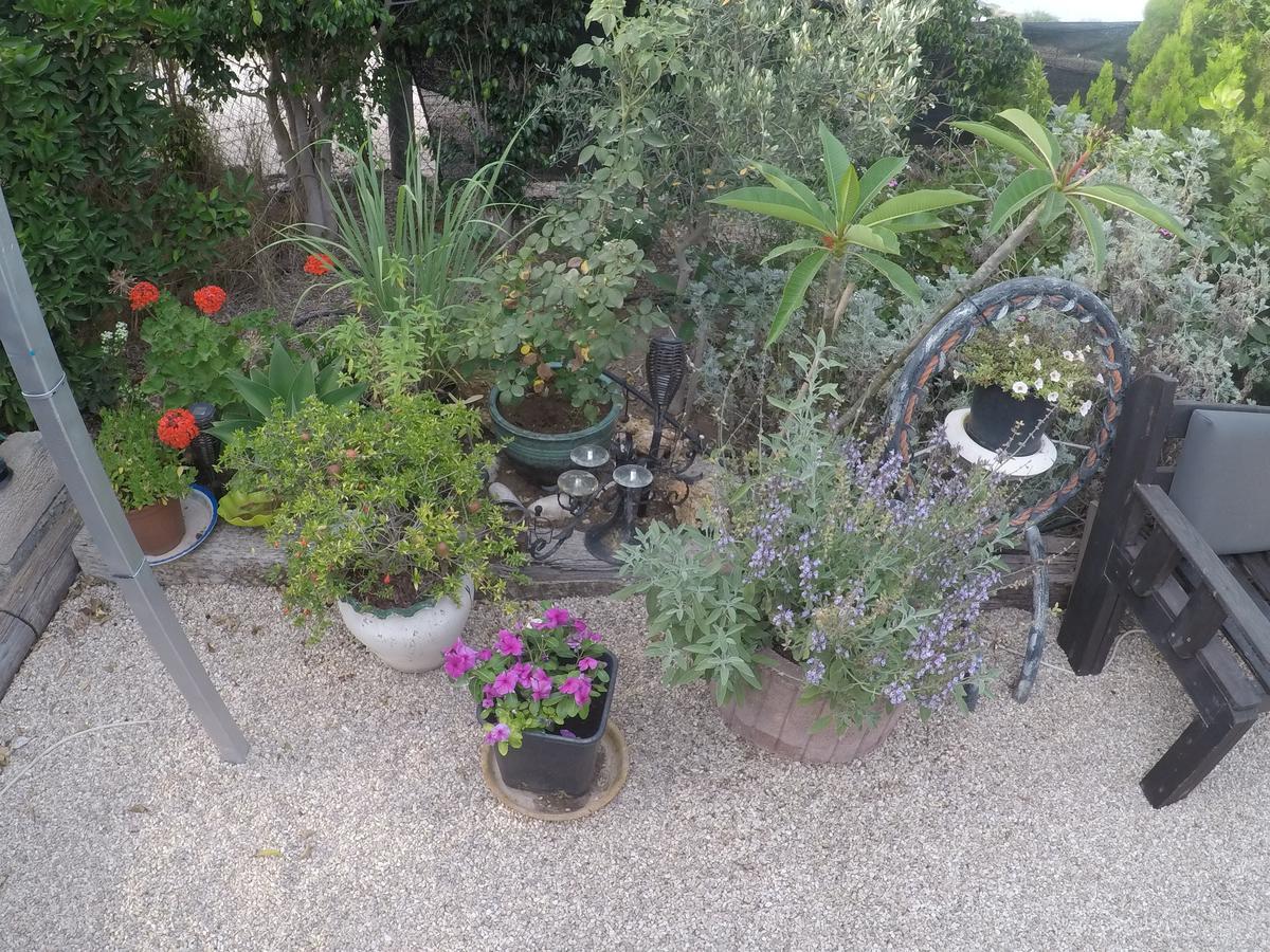 Asbn Magic Garden Villa Akko Bagian luar foto